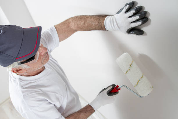 Best Biohazard Mold Removal  in Hlsboro, IL