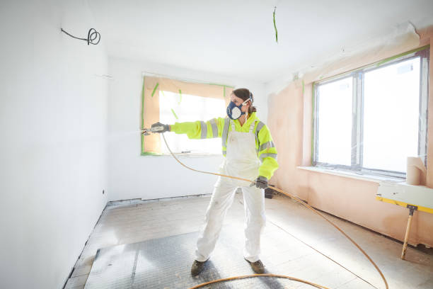 Trusted Hillsboro, IL Mold Removal Experts