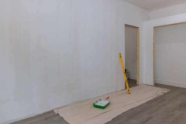 Best Comprehensive Air Testing for Mold Contaminants  in Hlsboro, IL