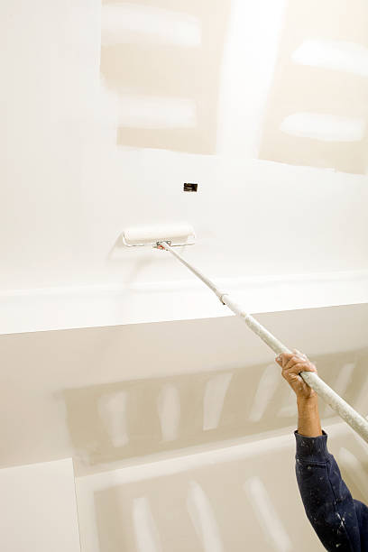 Best Emergency Mold Remediation  in Hlsboro, IL