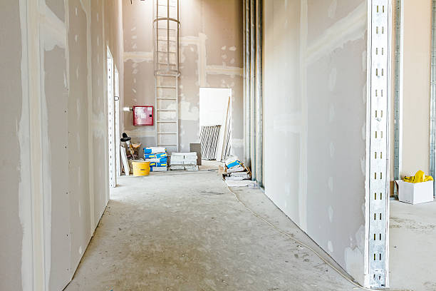Best Residential Mold Inspection & Testing  in Hlsboro, IL