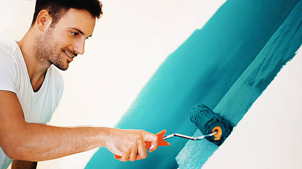 Best Mold-Related Health Consultation  in Hlsboro, IL