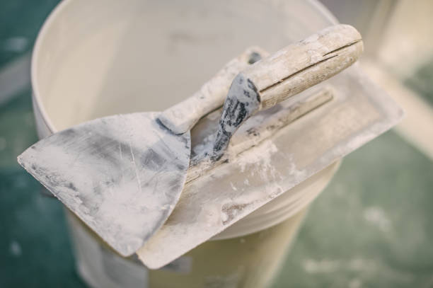 Best Asbestos and Lead Testing During Mold Inspection  in Hlsboro, IL